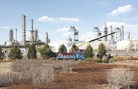 星运棋牌2026游戏界面